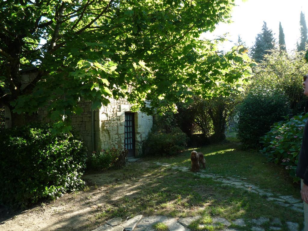 Le Logis Du Peu Girard Bed & Breakfast La Roche-Clermault ภายนอก รูปภาพ