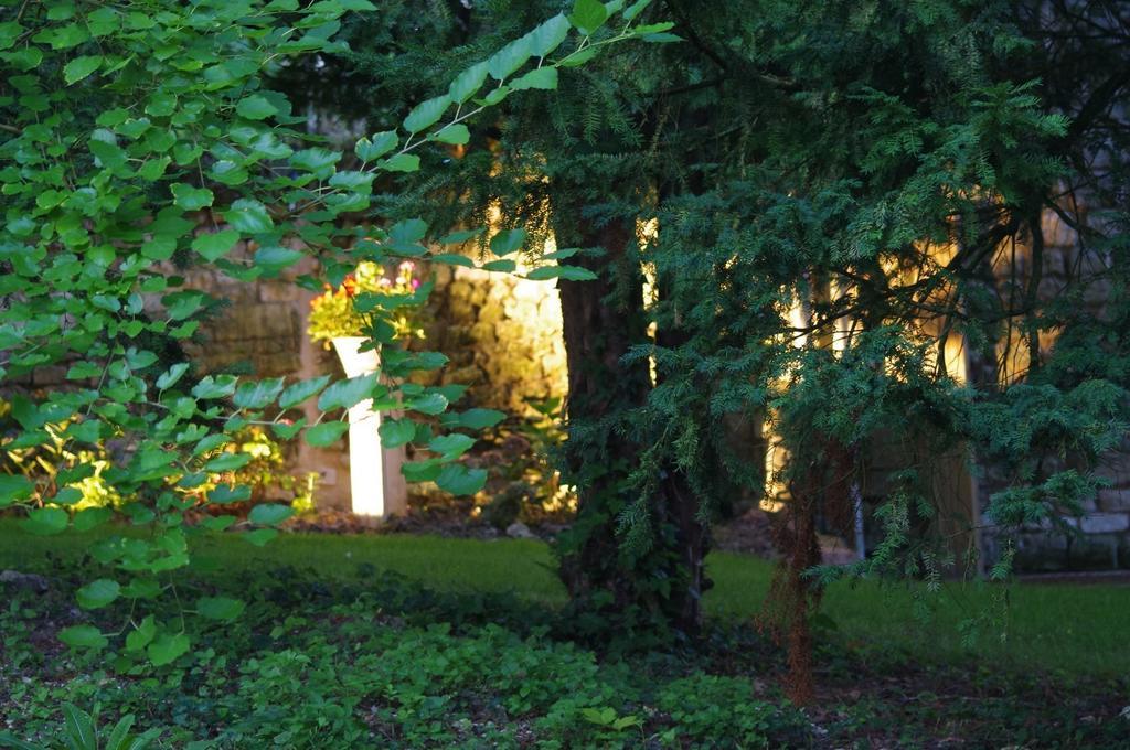 Le Logis Du Peu Girard Bed & Breakfast La Roche-Clermault ภายนอก รูปภาพ