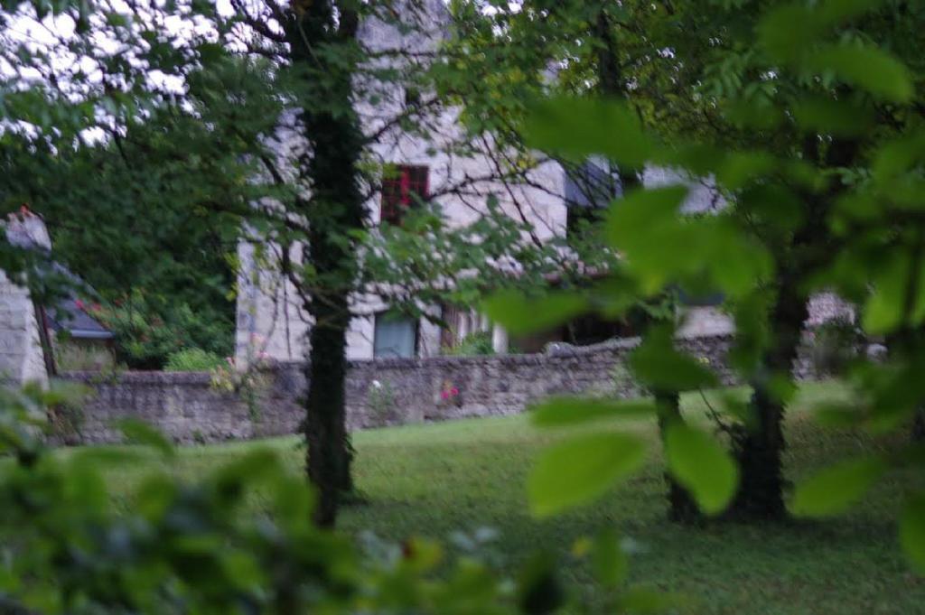 Le Logis Du Peu Girard Bed & Breakfast La Roche-Clermault ภายนอก รูปภาพ